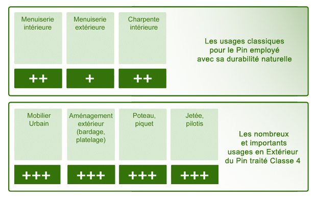 Pin Sylvestre Tableau